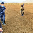 명숙농장 이미지