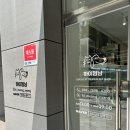 하이멍냥 강아지분양 고양이분양 서울본점 | 강아지 고양이 분양 하이멍냥에 드디어 가본 후기 분양 할인 꿀팁 여름이벤트 공유해요