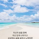카네기인재개발원 이미지