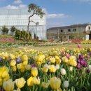 지선농장 이미지