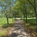 논현고잔로 이미지