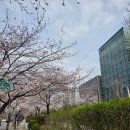 우원사우나