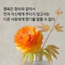 1월 27일 서울방 출석부 : 🍀 나이가 들어도 청춘처럼 사는 것 🍀 이미지
