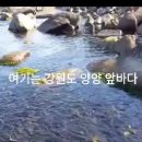 오늘여기 이미지