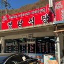 영남식당 | [ 가을 단양 여행 ] 재방문 | 애견동반 | 애견동반식당 | 영남식당 | 내돈내산 후기 | 반려동물동반