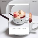 양산로L | ~2025.07 이미케 일기장, 잘 놀러 다닌 여름 한 조각