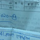 동원카프라자 | 202409-2 나야 가을 ~