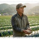 신해정보기술(주) | 2026. 2월 마늘 양파 재배 기술 정보