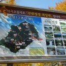 강계민박 Daum카페