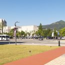 친환경 식물 미술관 이미지