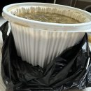 정현시래기 이미지