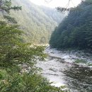 남회룡민박