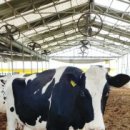 청일목장 이미지