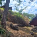 박응훈효자문 이미지