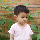 해바라기어린이집마당 이미지