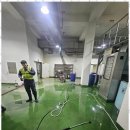 그린세차장 이미지