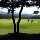 보문골프클럽 이미지