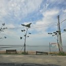 고잔길 | 궁평항 여름 캠핑 일기, 동갑내기, 해산물 파티, 보드게임, 하늘멍
