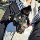 산책하는날 이미지