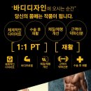 바디디자인 이미지