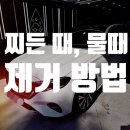금정지하수 - 이천시 | 금정구 장전동 벤츠 세차 찌든 때 제거 자동차 물때 제거
