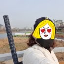 국산 아오스 파크골프채 세트 구입, 3개월 사용 후기
