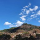 춘자목장 이미지