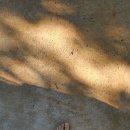 진평왕릉 화장실 이미지