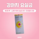 천우약국 네이버블로그