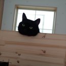 프린스실용음악학원 이미지