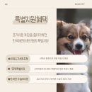 희망애견미용실 이미지