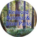 2020 캘리포니아 종단 여행: 레드우드 국립 공원 (Redwood National and State Parks)