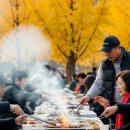 철마광장 | 2025 기장 철마한우불고기축제, 일정부터 먹거리·주차 꿀팁까지 총정리!