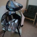 보타닉 스크린 골프 이미지