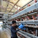 진일농장 이미지