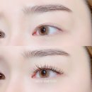 연 아이래쉬 네이버블로그
