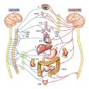온기담은 한의원 이미지