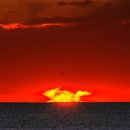 해돋이농장 이미지