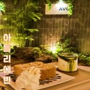 아틀리에빈담티점