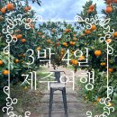 설농옥본점 이미지