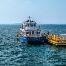 대숲여행 이미지