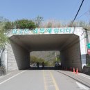 의령군-----자굴산(897.1m),남명숨길 이미지