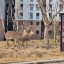 김기현농장 이미지