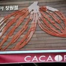 카카오리아 이미지