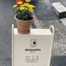 [울산 반구동 디저트맛집] 휘낭시에가 맛있는 가성비 좋은 “멜로소빈”