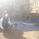 알프스커피숍 이미지