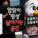 삼은농장 오마이뉴스
