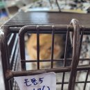 대덕정미소 이미지