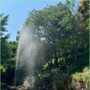 금강산식당 | 숟가락이 멈추지 않았던 닭도리탕 – 금강산 식당 후기🍗🌶️