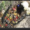 [VOA 영어뉴스] Plastic Trash in Oceans Enters Marine Food Chain 이미지